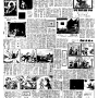 19730813-中央日报-10.png