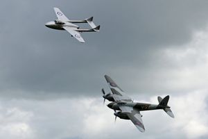 Mosquito and Vampire